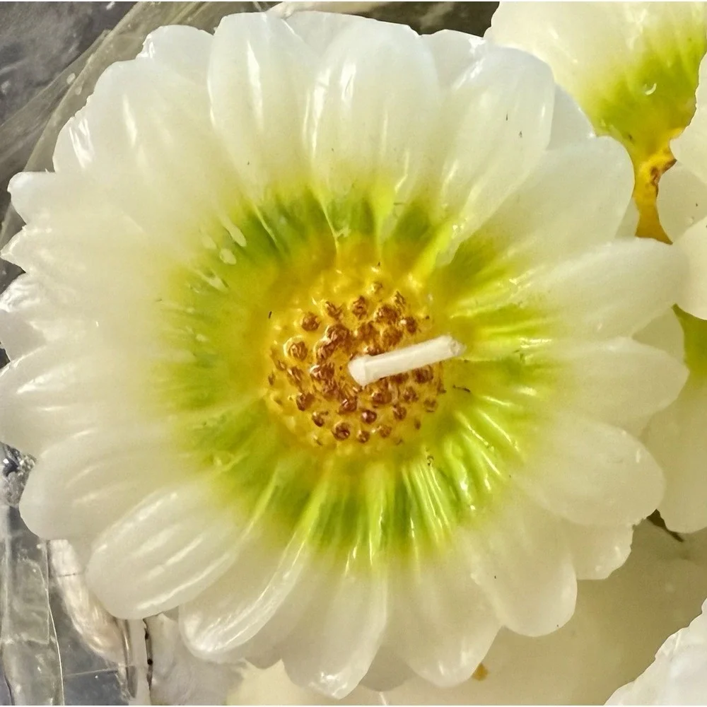 Vintage Royal Products Floating Flower Candles Façonné à la Main Lot of 7‎